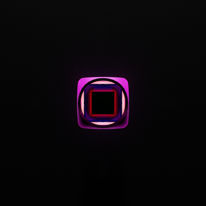 box_on_block: 1668